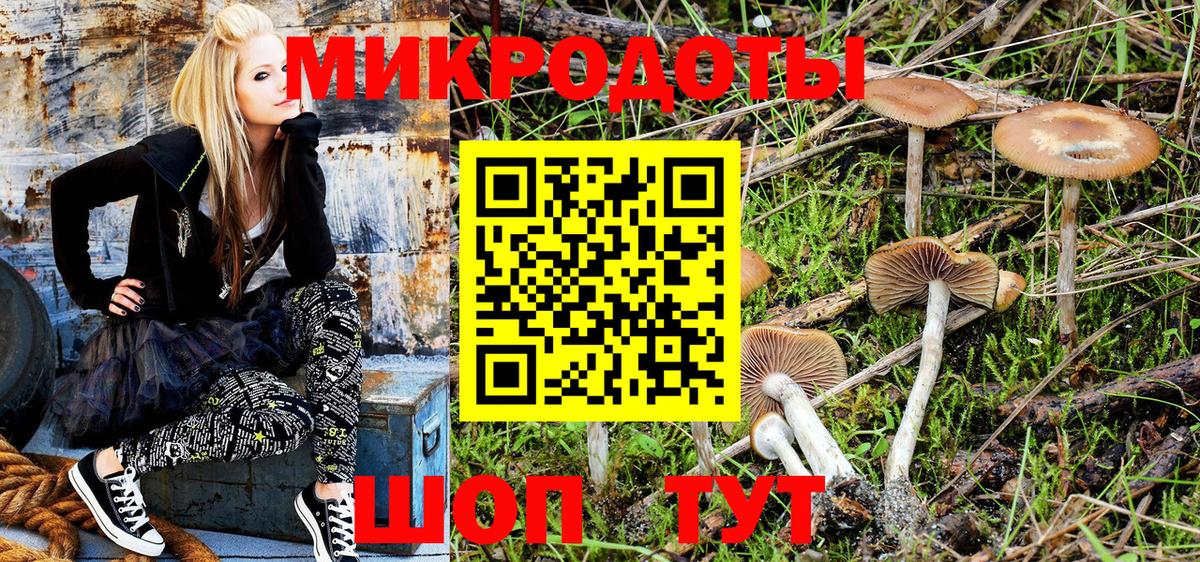 Котовск  Галлюциногенные грибы Cubensis  Галлюциногенные грибы мицелий  Вход с VPN 